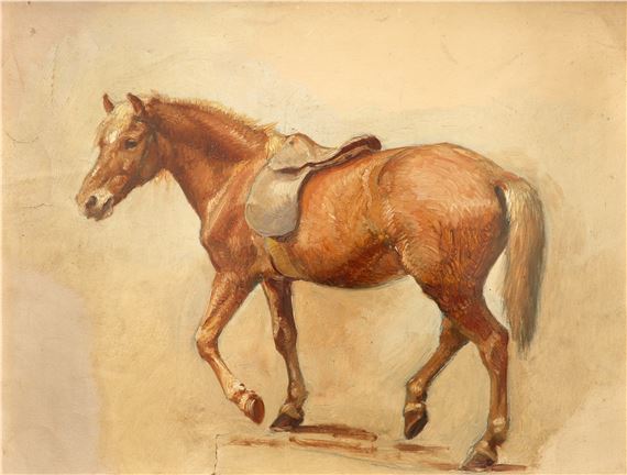 Study of a chestnut horse