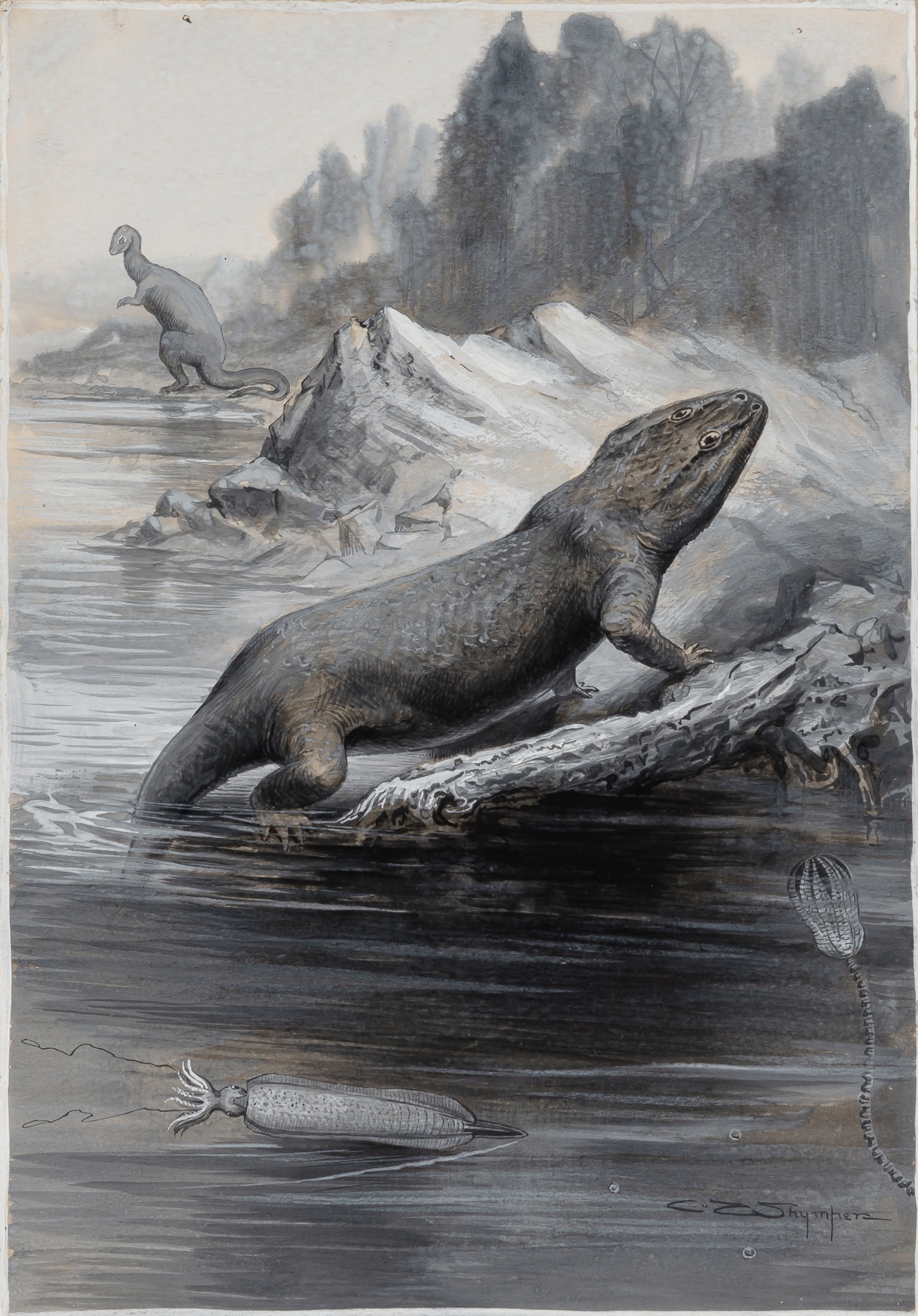 A Triassic Labrynthodont, and Belemnite by Charles Whymper