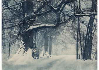 Untitled (from Rivierenhof portfolio) - Jozef Emiel Borrenbergen