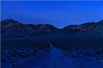 Harvard Art Museums Announce Reopening Plans for September