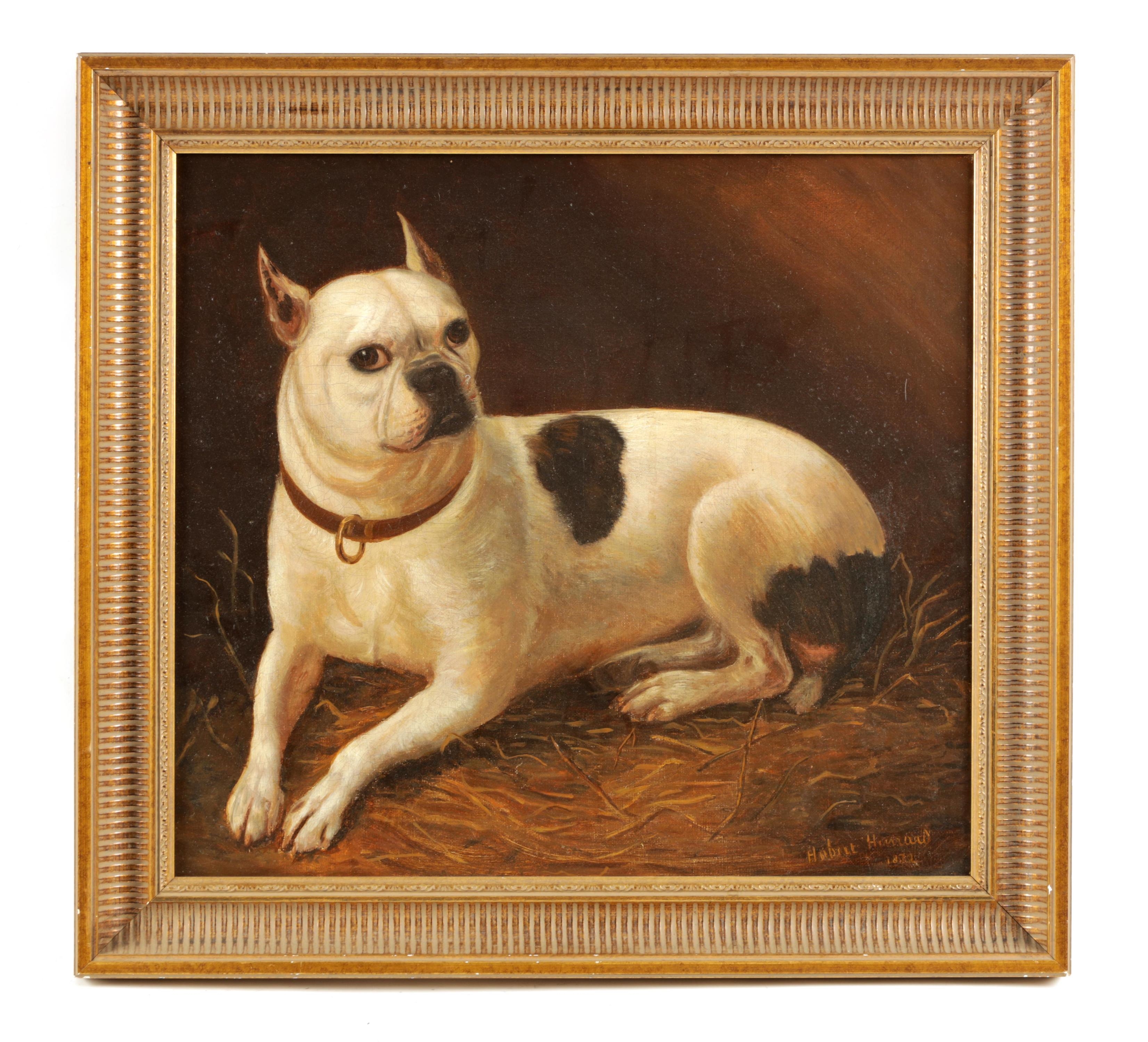 Artwork by Hubert Hunard, A French bulldog with collar lying on straw, Made of oil on canvas