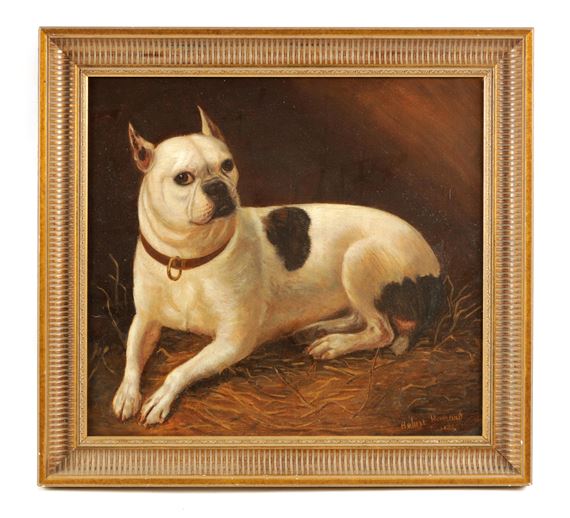 A French bulldog with collar lying on straw - Hubert Hunard