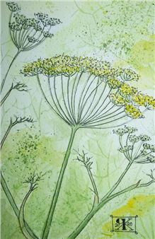 Cow Parsley - Ruth Kirkby