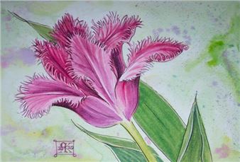 Fringed Tulip - Ruth Kirkby