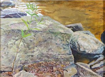 Nature vignette of a sapling growing through rocks on a rivers edge; still life of a leaf laying with a pair of sticks - Daniel Anthonisen