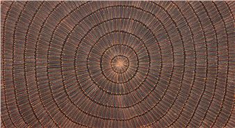 "My Country" - Mary Rumble Pitjara