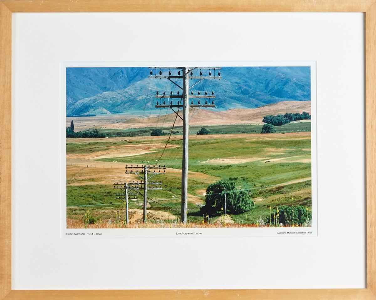 Landscape with Wires by Robin Morrison