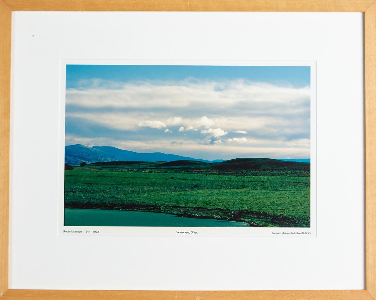 Landscape, Otago by Robin Morrison