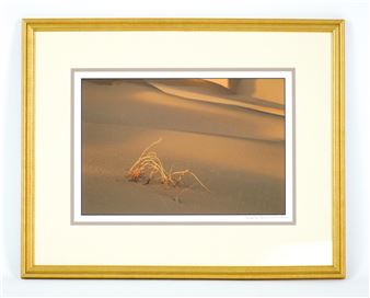 A framed photograph of a single tuft of dried grass resting on golden sand dunes.