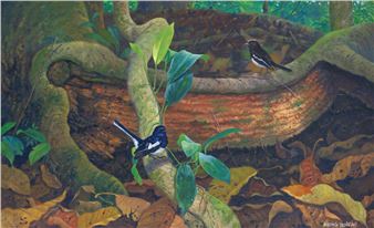 Magpie Robin - Zaharuddin Sarbini