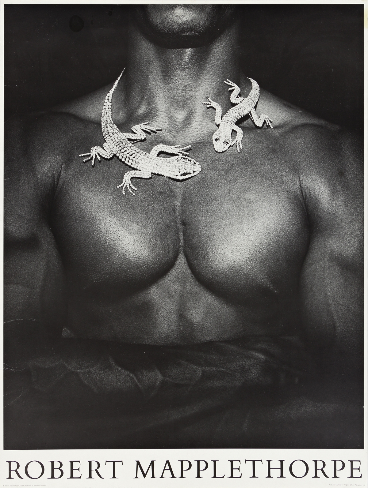 Robert Mapplethorpe | Robert Mapplethorpe. (1988) | MutualArt