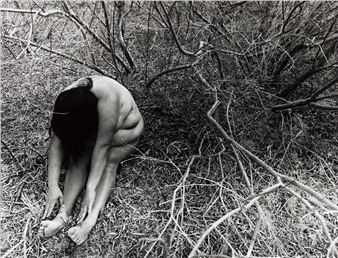 Stillness #31. - Laura Aguilar