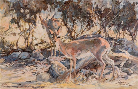 STEENBOKKIES IN THE SHADE by Johan Grobler, dated 88