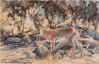 STEENBOKKIES IN THE SHADE - Johan Grobler