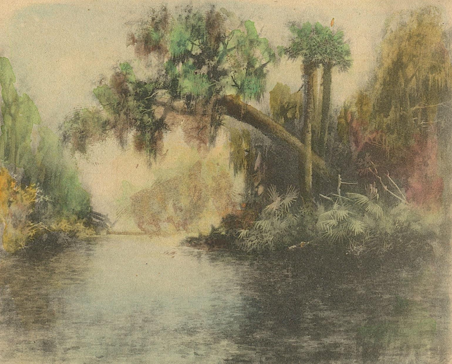 James Ralph Wilcox | Florida Swamscape (1890s) | MutualArt