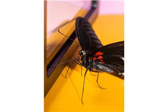 Art Fair Foto Tallinn 2021 Announces Participants