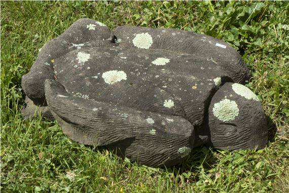 Bird Portrait by Don Meserve