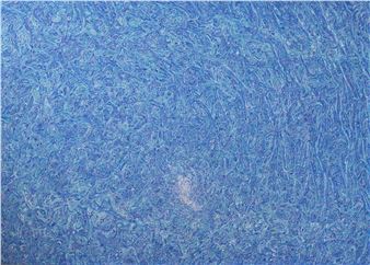 Close to Home - JGM Gallery