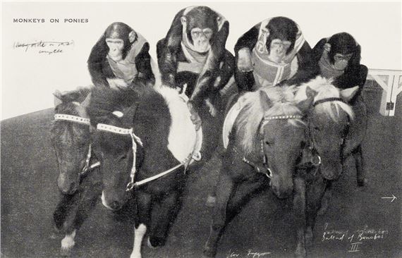 Stützmappe and Bonobos: Synergies - BORCH Editions