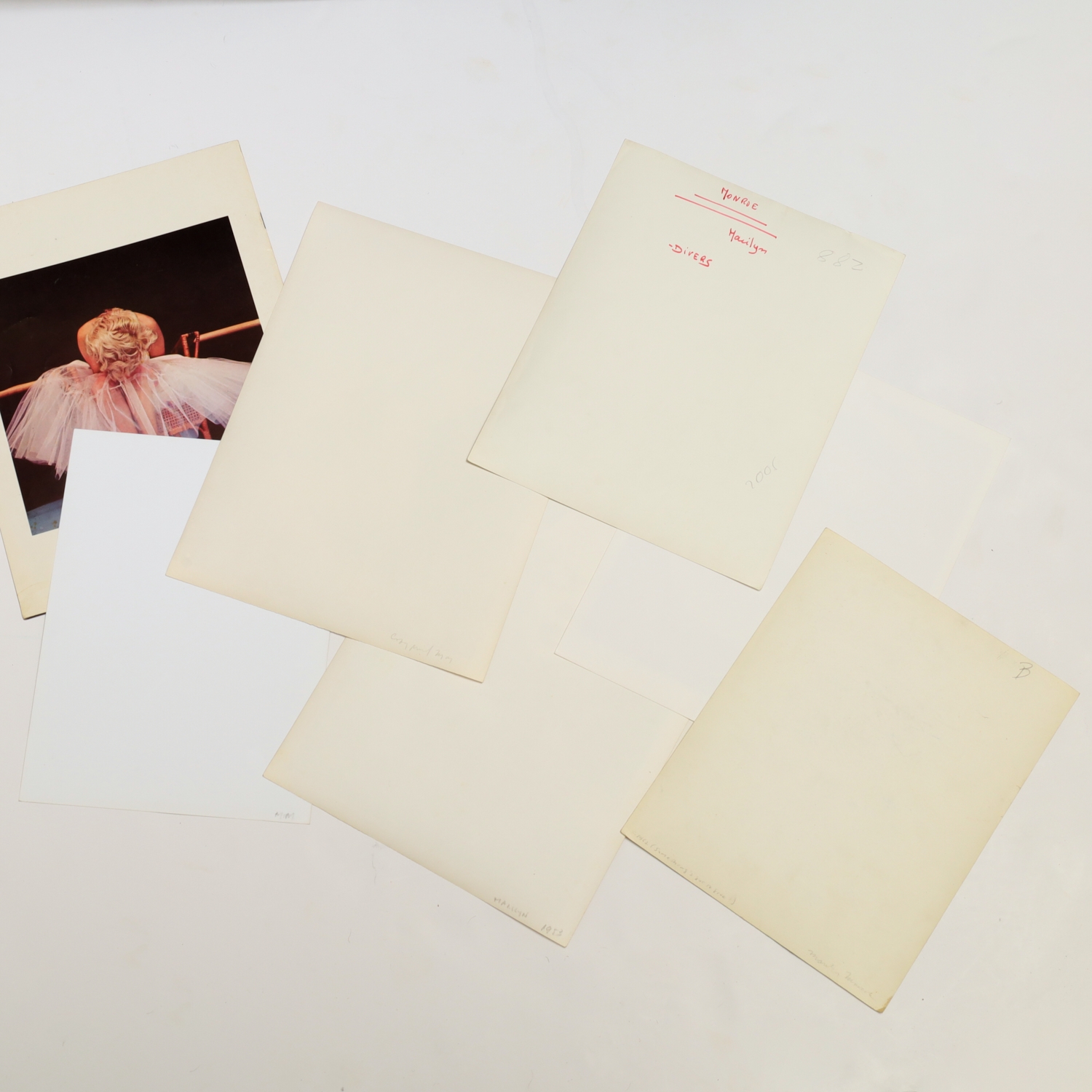 Milton H. Greene promotional booklet from Brenner FIne Arts with