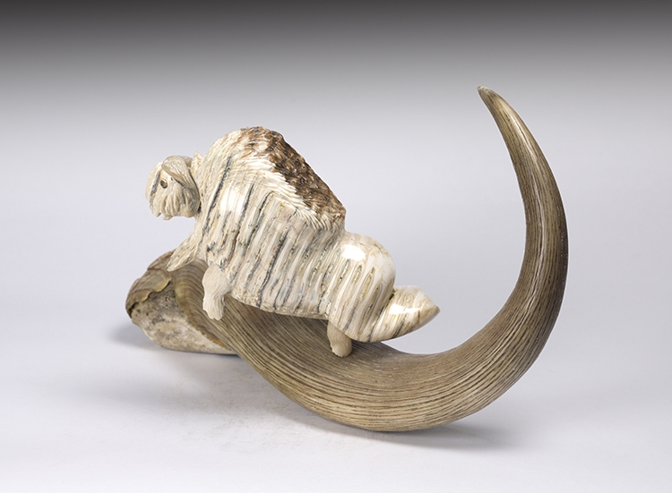 Artwork by Damien Iquallaq, Muskox and Wolf, Made of muskox horn and mammoth ivory