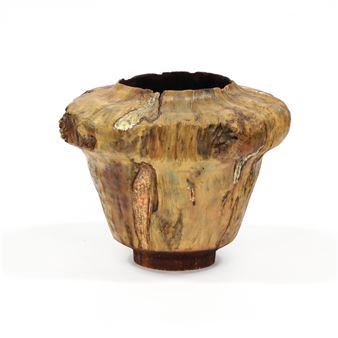 Spalted Silver Maple ( Dark Side of the Moon ) - William Mcinnis