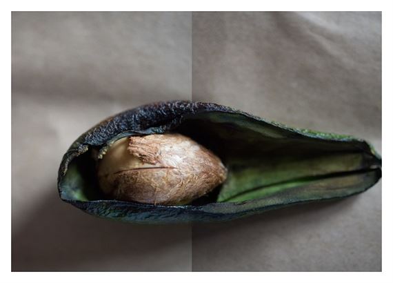 The 10Th Sacrum Art. Triennial: The Sanctity Of Nature? - Centre of Contemporary Art Znaki Czasu in Torun