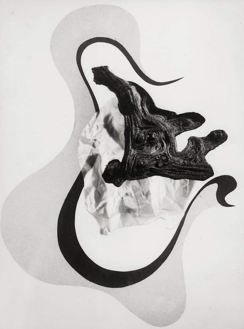 Artwork by Fritz Brill, Freie Form, Made of Vintage gelatin silver print