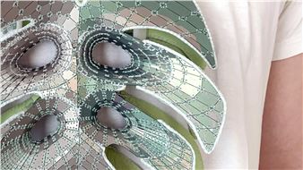 Mallory Weston: Nodes - Sienna Patti