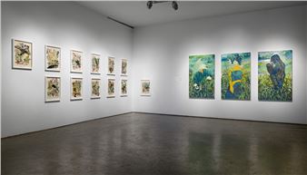 Imagining Our Climate Future