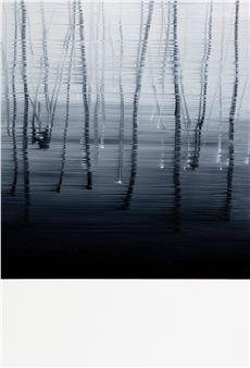 La Forêt - Choi Yongdae