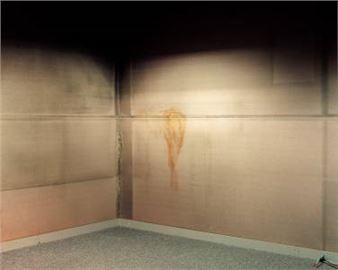 Mary McIntyre: Places We Think We Know - Dundee Contemporary Arts