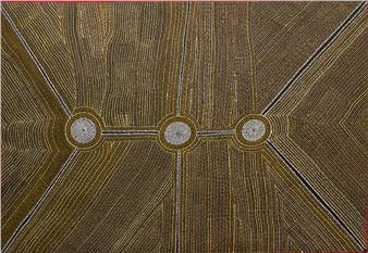 Untitled - George Tjangala Wallaby