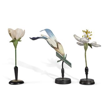 Three Didactic Botanical Models - Robert & Reinhold Brendel