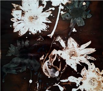 Of Plants: Experimental Prints - Les Douches la Galerie