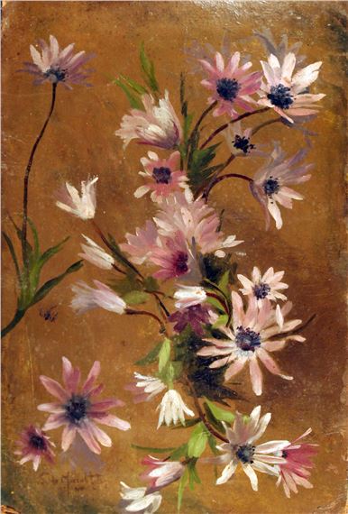 Fiori di campo by Sophia de Muralt