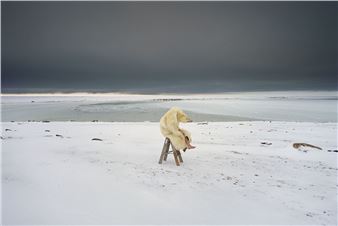 212 Photography Istanbul to Spread the Festival Spirit Throughout the City 1-11 October 2021