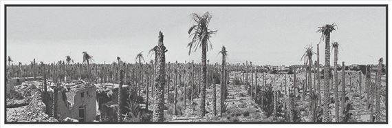 Palms Die Standing Up - Jassem Ghazbanpour