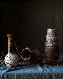 Larissa Warren: Sedimentary Stories - Gallerysmith
