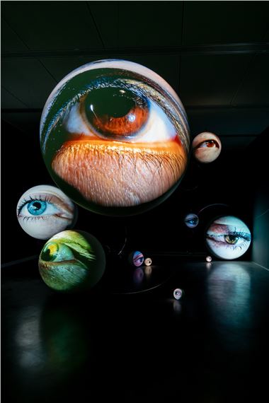 Tony Oursler Eye For An Eye