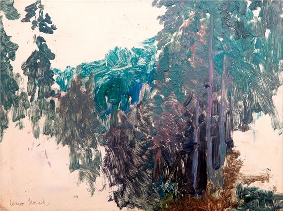 LES by Arno Novak, po r. 1905