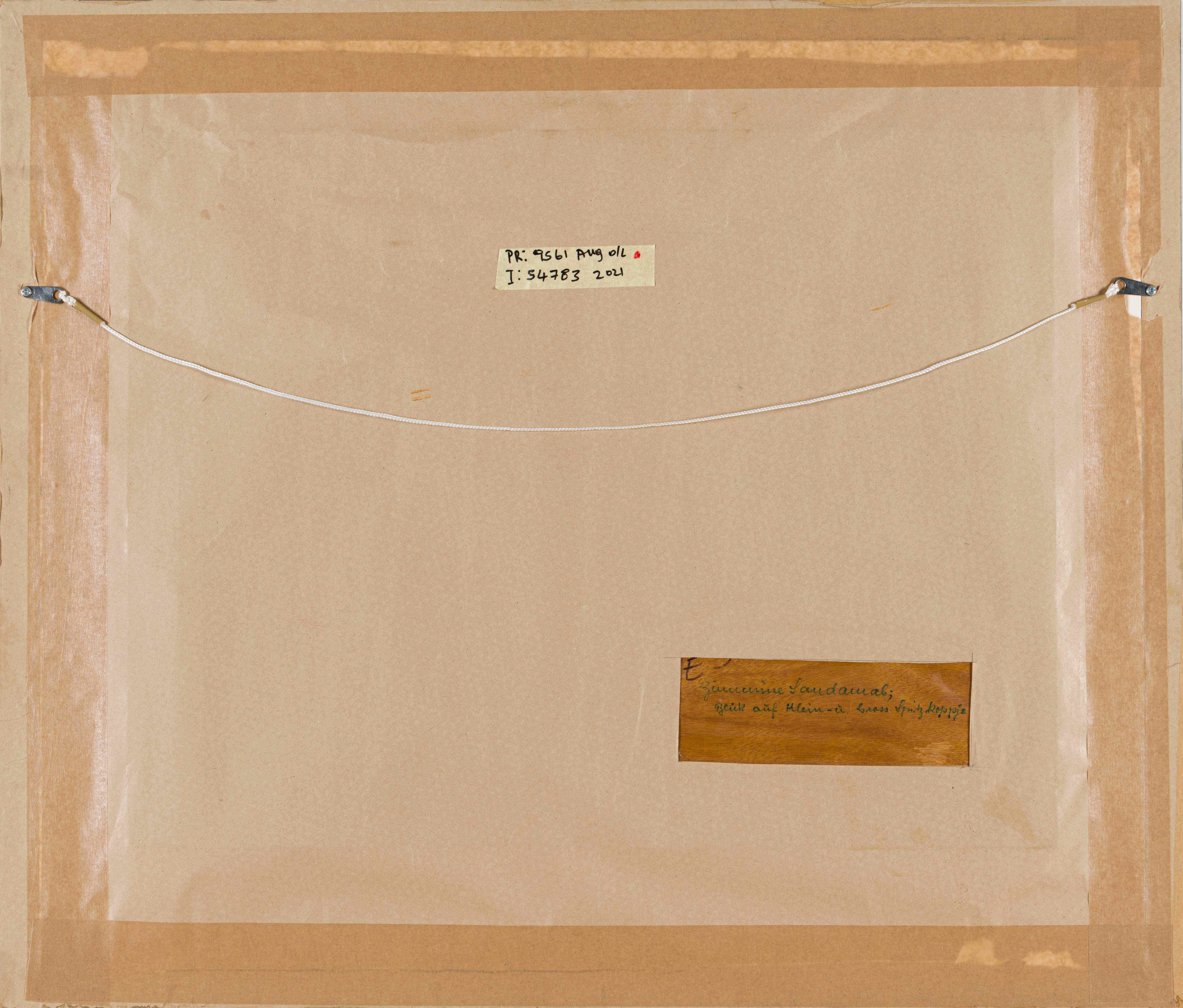 Artwork by Johannes Blatt, Blick aúf Klein- ú Gross Spitz Koppje, Made of gouache on wood panel
