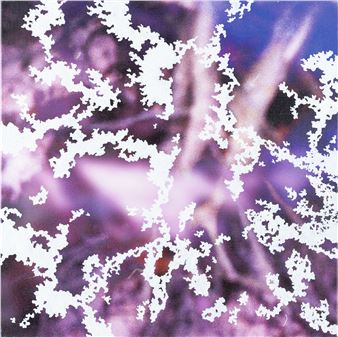 A journey of an image - Kamila Walendykiewicz