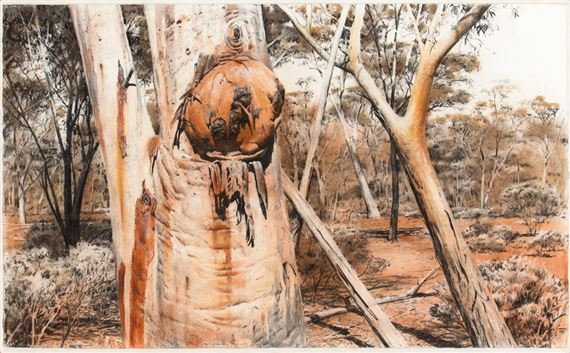 GOLDFIELDS BURL - Tony Windberg