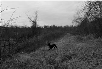 Jonathan Moore: Zaeta - Albumen Gallery