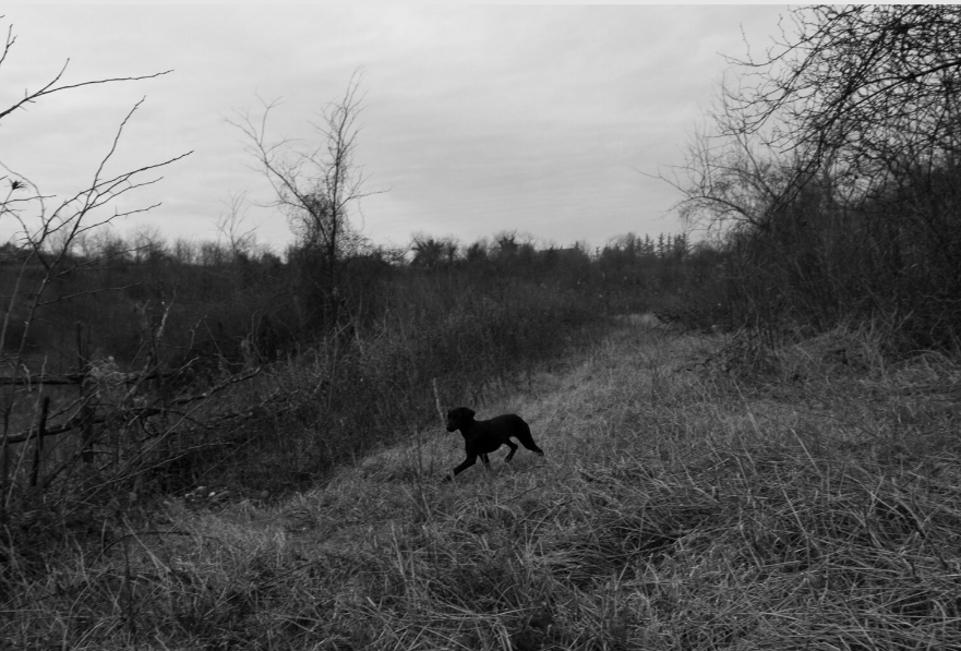 Jonathan Moore: Zaeta at Albumen Gallery
