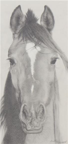 Beauty of the Show by Sally Hynard