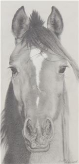 Beauty of the Show - Sally Hynard