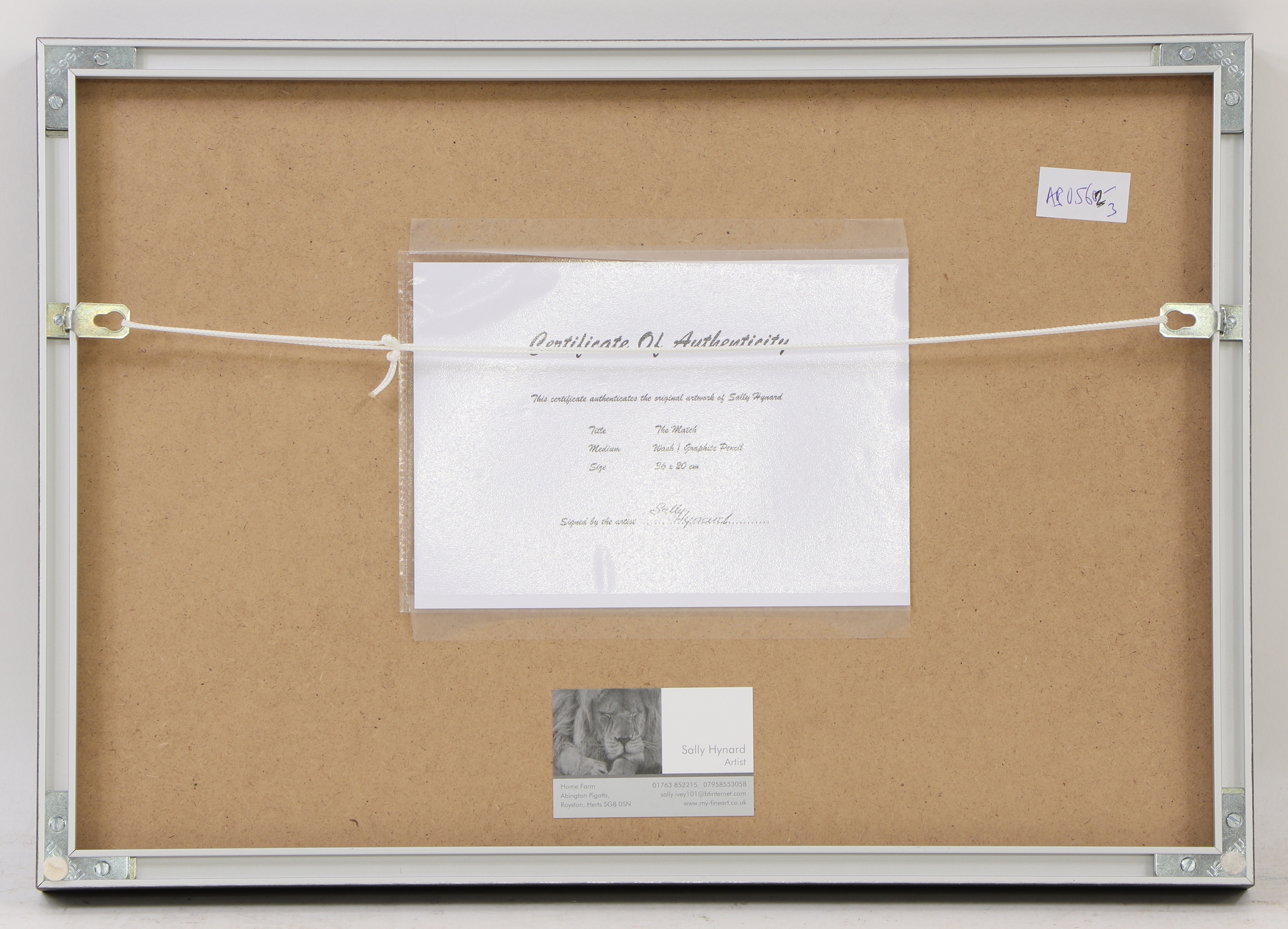 Artwork by Sally Hynard, The Match, Made of pencil and wash