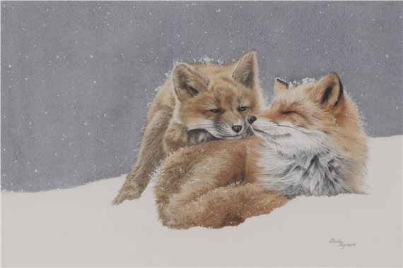 Two fox cubs in the snow by Sally Hynard